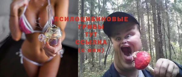 МДПВ Гвардейск