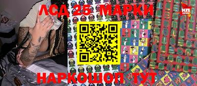 индика Заволжье