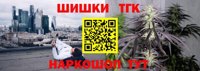 индика Заволжье