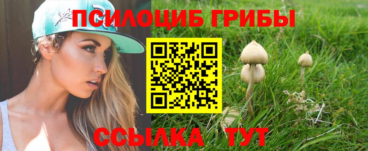 МДМА Краснознаменск