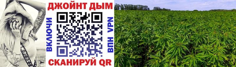 Бошки Шишки Ganja  Краснознаменск 